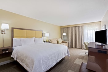 Room, 1 King Bed with Sofa bed, Accessible, Non Smoking