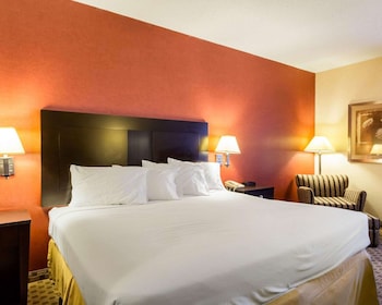 Standard Room, 1 King Bed, Non Smoking