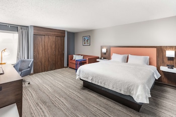 Room, 1 King Bed, Accessible, Non Smoking
