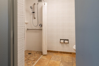 Room, Accessible, Non Smoking
