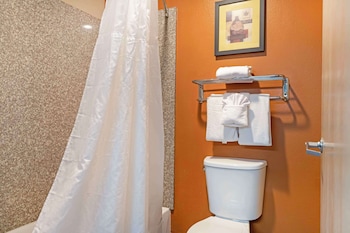Suite, 1 King Bed, Non Smoking, Refrigerator & Microwave (with Sofabed)