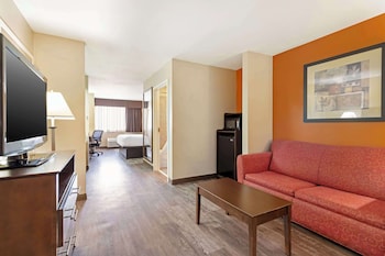 Suite, 1 King Bed, Non Smoking, Refrigerator & Microwave (with Sofabed)
