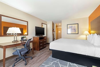 Standard Room, 1 King Bed, Non Smoking, Refrigerator & Microwave (Exterior)