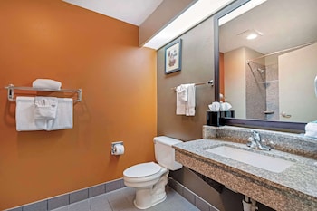 Standard Room, 1 King Bed, Non Smoking, Refrigerator & Microwave (Exterior)