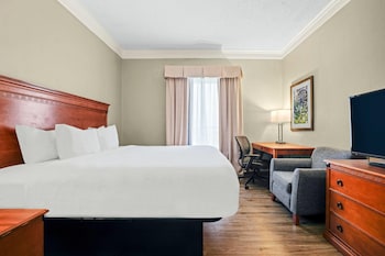 Suite, 1 King Bed, Non Smoking, Microwave