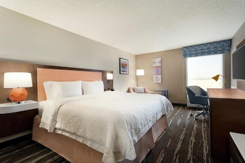 Room, 1 King Bed