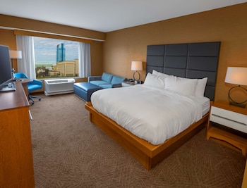 Room, 1 King Bed