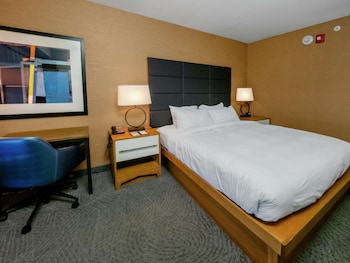 Room, 1 King Bed, Accessible (Mobility, Roll-In Shower)