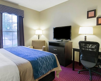 Standard Room, 1 King Bed, Accessible, Non Smoking