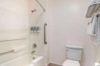 Standard Room, 1 King Bed, Non Smoking, Refrigerator & Microwave (Larger Room)
