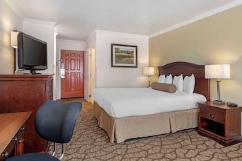 Standard Room, 1 King Bed, Accessible, Non Smoking