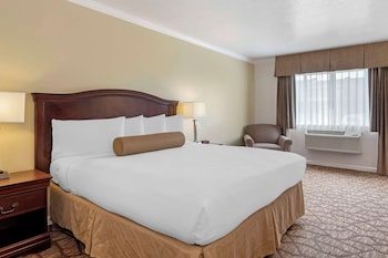 Standard Room, 1 King Bed, Non Smoking, Refrigerator & Microwave (Larger Room)