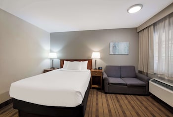 Standard Room, 1 Double Bed, Non Smoking, Refrigerator