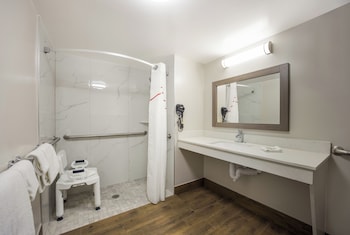 Deluxe Room, 1 King Bed, Accessible (Roll-In Shower, Smoke Free)
