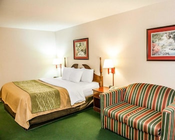 Suite, 1 King Bed with Sofa bed, Non Smoking, Jetted Tub (1 Person Sofa Bed)