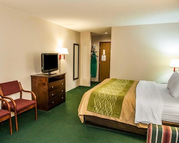 Suite, 1 King Bed with Sofa bed, Non Smoking, Jetted Tub (1 Person Sofa Bed)