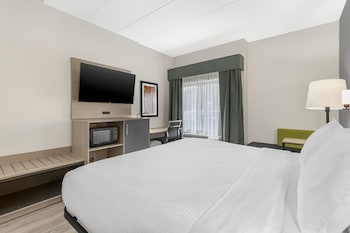 Standard Room, 1 King Bed, Accessible, Non Smoking