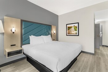 Standard Room, 1 King Bed, Accessible, Non Smoking