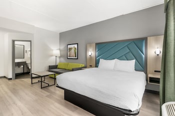 Standard Room, 1 King Bed, Non Smoking, Refrigerator & Microwave