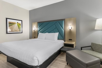 Standard Room, 1 King Bed, Accessible, Non Smoking