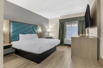 Standard Room, 1 King Bed, Accessible, Non Smoking