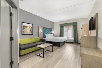 Standard Room, 1 King Bed, Non Smoking, Refrigerator & Microwave