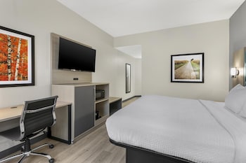 Standard Room, 1 King Bed, Accessible, Non Smoking