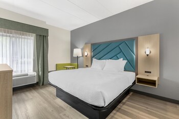 Standard Room, 1 King Bed, Accessible, Non Smoking