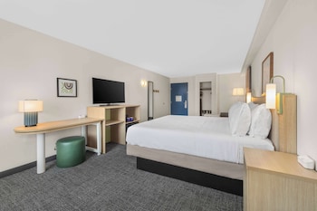 Room, 1 King Bed with Sofa bed