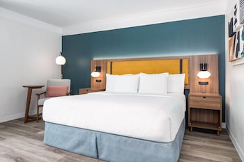 Room, 1 King Bed, Mobility Accessible, Non Smoking (Bathtub W/grab Bars)