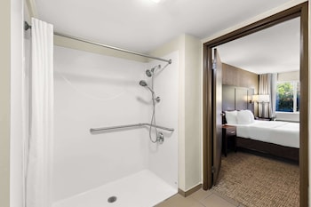 Room, 1 King Bed, Accessible, Non Smoking