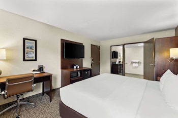Room, 1 King Bed, Accessible, Non Smoking