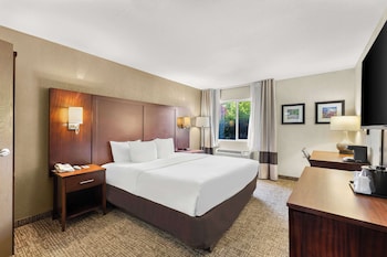 Suite, 1 King Bed, Non Smoking