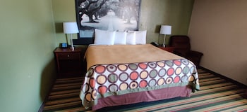 Studio Suite, 1 King Bed, Non Smoking