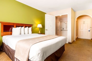 Standard Room, 1 King Bed