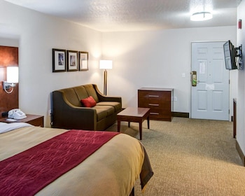 Standard Room, 1 King Bed with Sofa bed, Non Smoking (1 Person Sofabed)