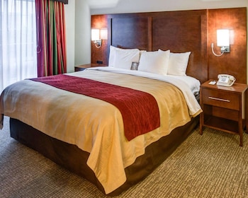 Standard Room, 1 King Bed with Sofa bed, Non Smoking (1 Person Sofabed)