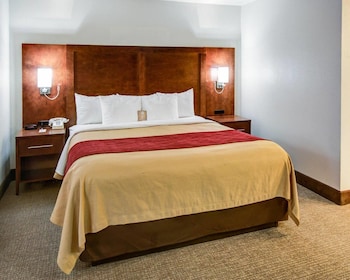 Room, 1 King Bed with Sofa bed, Non Smoking, Corner