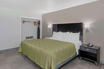 Room, 1 King Bed, Non Smoking
