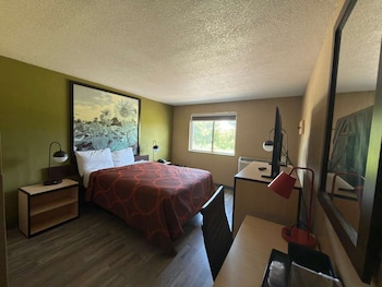 Standard Room, 1 Queen Bed, Non Smoking