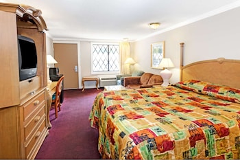 Room, 1 King Bed