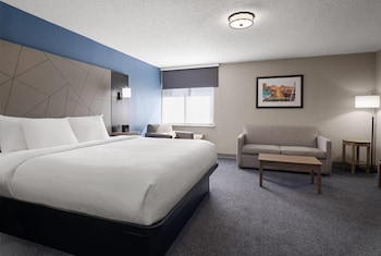 Studio Suite, 1 King Bed, Non Smoking