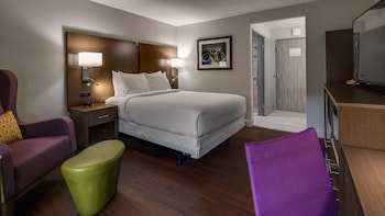Standard Room, 1 Queen Bed, Accessible, Refrigerator & Microwave