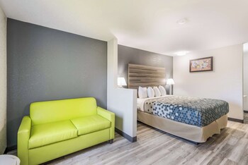 Suite, 1 King Bed