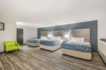 Suite, Multiple Beds
