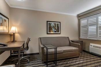 Standard Room, 1 King Bed, Non Smoking, Refrigerator & Microwave (with Sofabed)