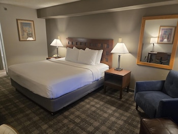 Standard Room, 1 King Bed, Non Smoking