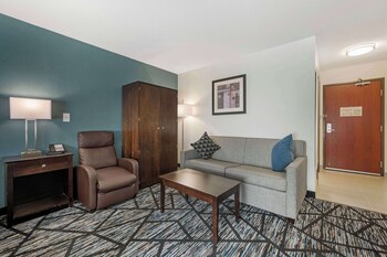 Standard Room, 1 King Bed, Accessible, Non Smoking (Walk-in Shower;with Sofabed)