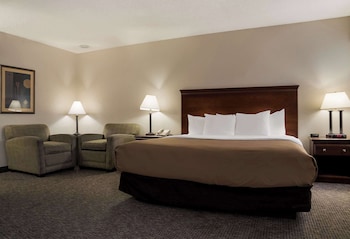 Standard Room, 1 King Bed, Non Smoking