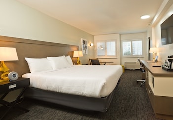 Executive Room, 1 King Bed, Air conditioning (Accessible)